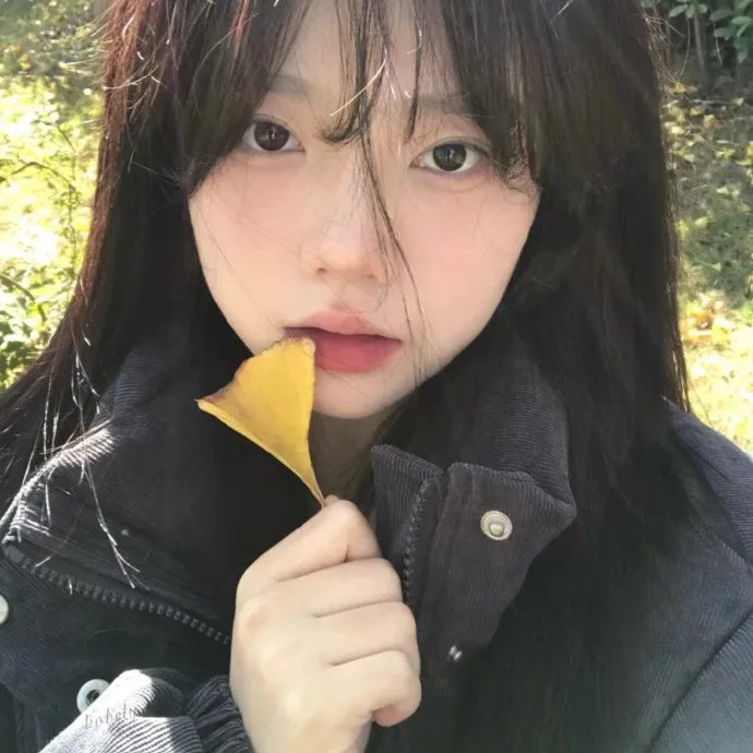 羊与钢之森